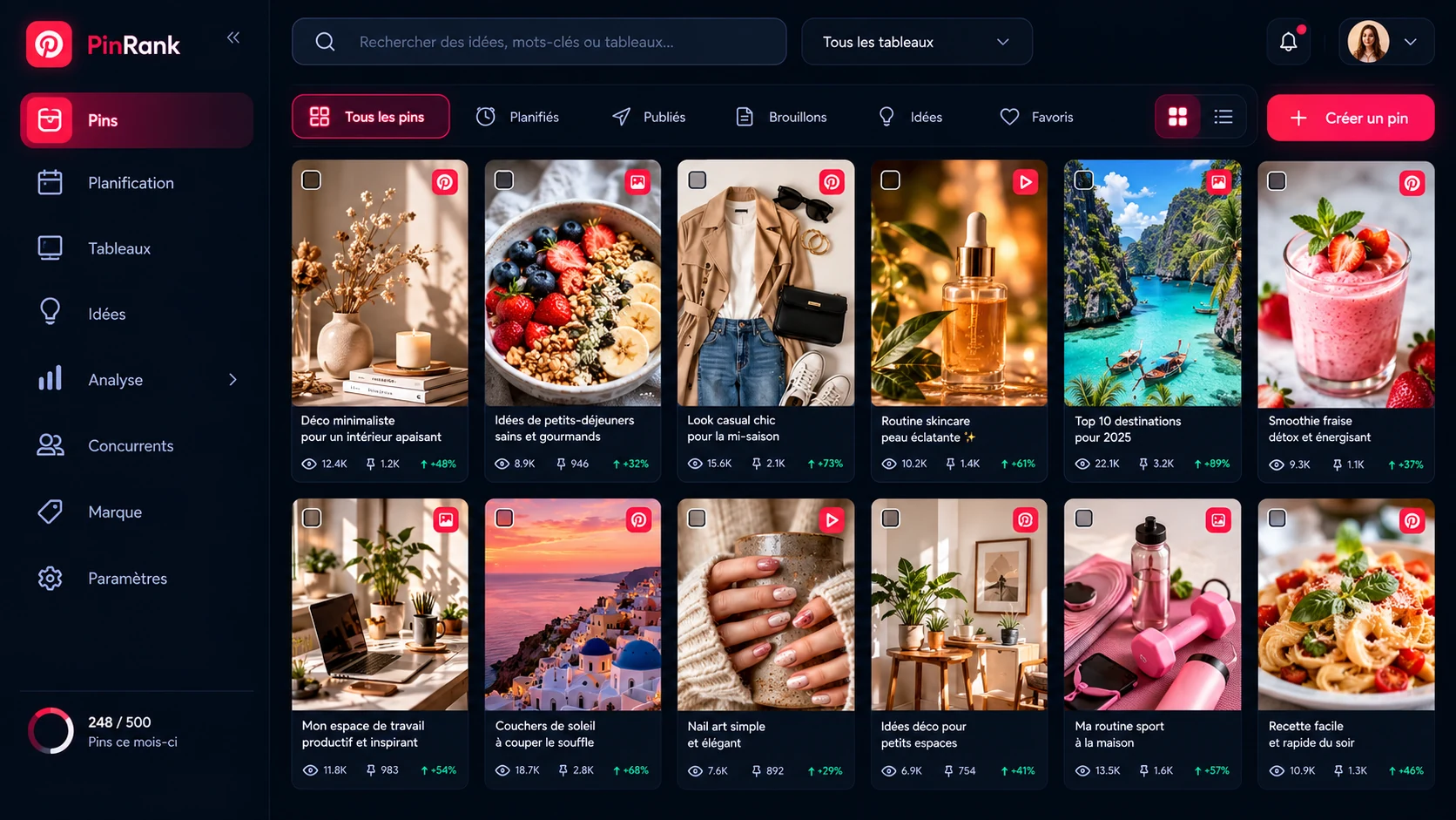 Aperçu illustratif de l’interface PinRank